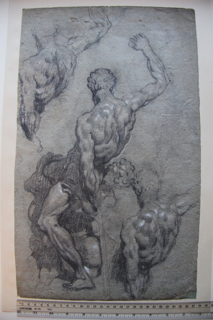 Studies after Michelangelo’s ‘Samson and the Philistines' (1550-55) by Tintoretto, black chalk with lead white heightening on paper, Courtauld Gallery, London